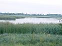 szate (170)